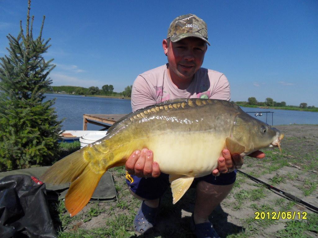 Ozetanya 2012 - sdc14257.JPG